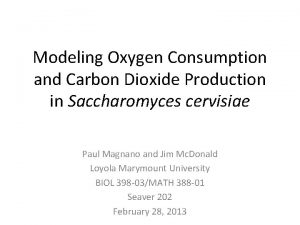 Modeling Oxygen Consumption and Carbon Dioxide Production in
