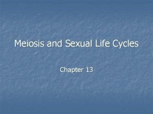 Meiosis and Sexual Life Cycles Chapter 13 Introduction