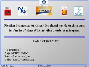 Fixation des mtaux lourds par des phosphates de