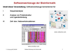 Softwarewerkzeuge der Bioinformatik Inhalt dieser Veranstaltung Softwarewerkzeuge kennenlernen