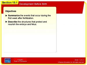 Section 19 1 Development Before Birth Objectives Summarize