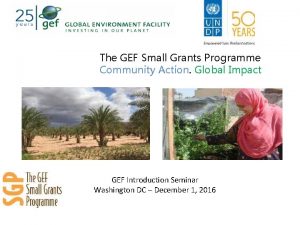 The GEF Small Grants Programme Community Action Global