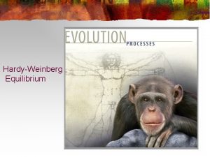 HardyWeinberg Equilibrium ALLELE FREQUENCY HARDY WEINBERG n n