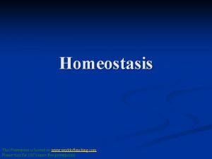 Homeostasis This Powerpoint is hosted on www worldofteaching