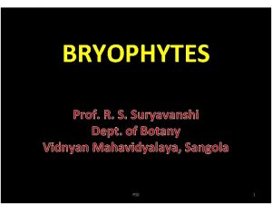 BRYOPHYTES Prof R S Suryavanshi Dept of Botany