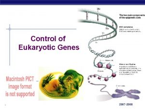 Control of Eukaryotic Genes AP Biology 2007 2008