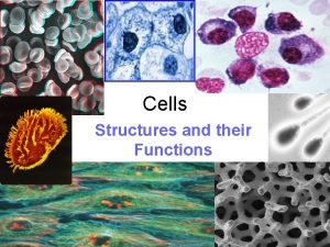 Cells Structures and their Functions ALL Living things