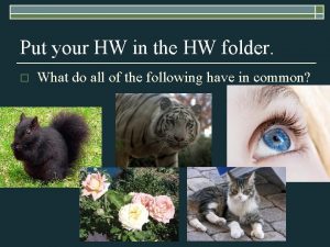 Put your HW in the HW folder o
