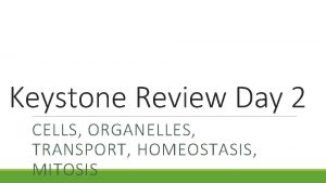 Keystone Review Day 2 CELLS ORGANELLES TRANSPORT HOMEOSTASIS
