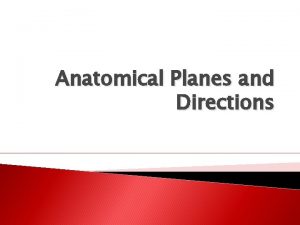 Anatomical Planes and Directions Why So Many Difficult