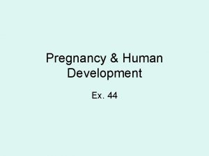 Pregnancy Human Development Ex 44 Fertilization Its all