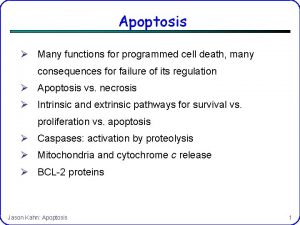 Apoptosis Many functions for programmed cell death many