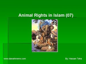 Animal Rights in Islam 07 www dawahmemo com