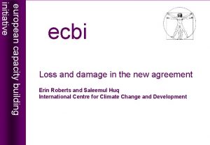 european capacity building initiative ecbi Loss and damage