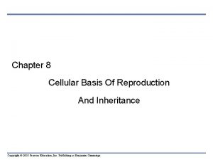 Chapter 8 Cellular Basis Of Reproduction And Inheritance