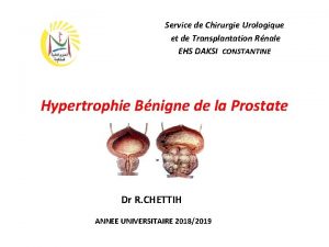 Service de Chirurgie Urologique et de Transplantation Rnale