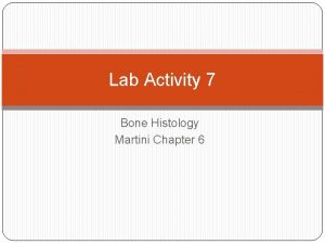 Lab Activity 7 Bone Histology Martini Chapter 6