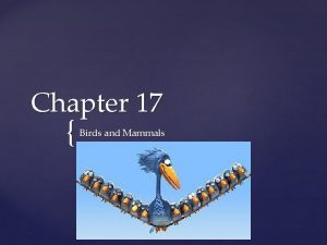 Chapter 17 Birds and Mammals Vocabulary Terms 1