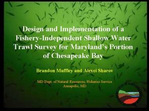 Design and Implementation of a FisheryIndependent Shallow Water