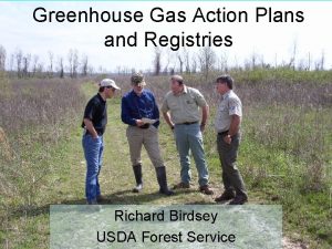 Greenhouse Gas Action Plans and Registries Richard Birdsey
