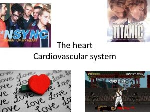 The heart Cardiovascular system Todays goal Describe the
