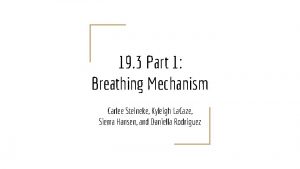 19 3 Part 1 Breathing Mechanism Carlee Steineke