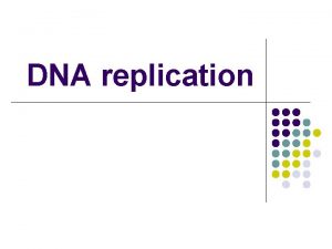 DNA replication SBI 4 U 0 DNA Replication