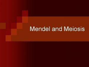 Mendel and Meiosis Mendels Laws of Heredity n