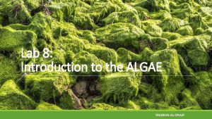 Lab 8 Introduction to the ALGAE MADEHA ALONAZI