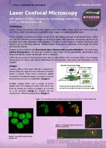 CATEGORY EXPERIMENTAL TECHNIQUES LASER CONFOCAL MICROSCOPY Laser Confocal