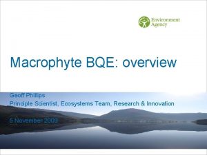 Macrophyte BQE overview Geoff Phillips Principle Scientist Ecosystems