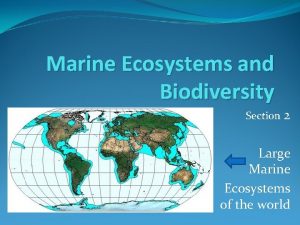 Marine Ecosystems and Biodiversity Section 2 Large Marine
