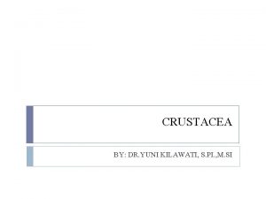 CRUSTACEA BY DR YUNI KILAWATI S PI M