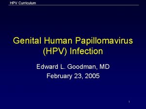 HPV Curriculum Genital Human Papillomavirus HPV Infection Edward