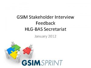 GSIM Stakeholder Interview Feedback HLGBAS Secretariat January 2012