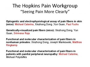 The Hopkins Pain Workgroup Seeing Pain More Clearly
