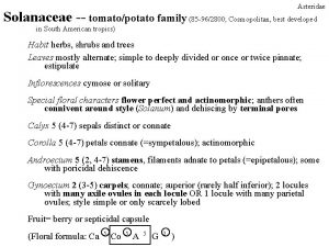 Asteridae Solanaceae tomatopotato family 85 962800 Cosmopolitan best