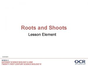 Roots and Shoots Lesson Element OCR 2017 Key