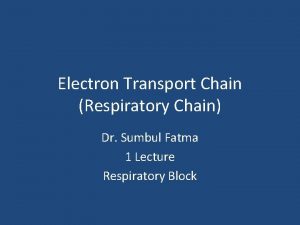 Electron Transport Chain Respiratory Chain Dr Sumbul Fatma