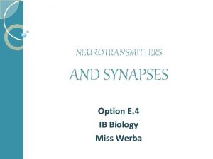 NEUROTRANSMITTERS AND SYNAPSES Option E 4 IB Biology