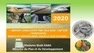 GROUPE CONSULTATIF PND 2016 2020 CAP SUR LEMERGENCE