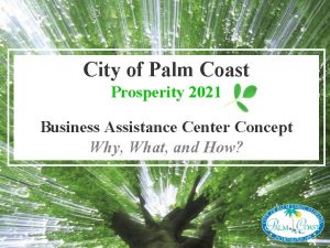 City of Palm Coast Prosperity 2021 Business Assistance