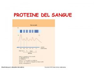 PROTEINE DEL SANGUE Funzioni delle proteine del sangue