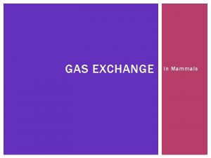 GAS EXCHANGE In Mammals GAS EXCHANGE IN MAMMALS