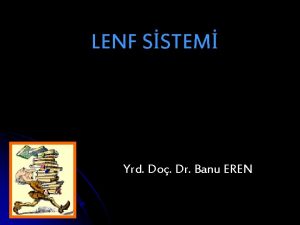 LENF SSTEM Yrd Do Dr Banu EREN Lenfoid