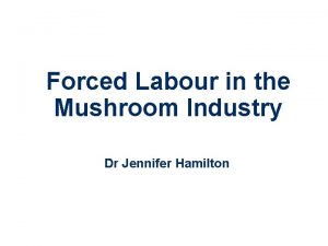 Forced Labour in the Mushroom Industry Dr Jennifer