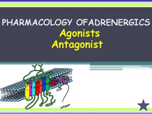 PHARMACOLOGY OFADRENERGICS Agonists Antagonist Adrenergic Neuron Blockers Sympatholytics