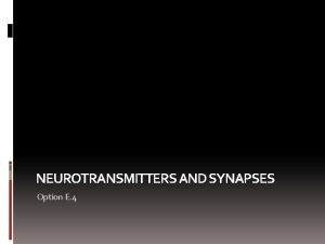 NEUROTRANSMITTERS AND SYNAPSES Option E 4 Assessment Statements