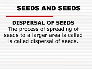 SEEDS AND SEEDS DISPERSAL OF SEEDS The process