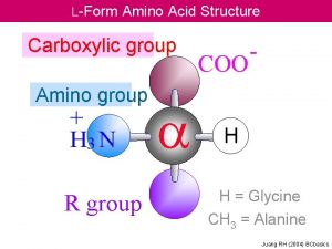 LForm Amino Acid Structure Carboxylic group Amino group